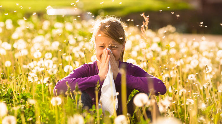 Was ist eine Pollenallergie? Symptome, Ursachen und Alltagstipps