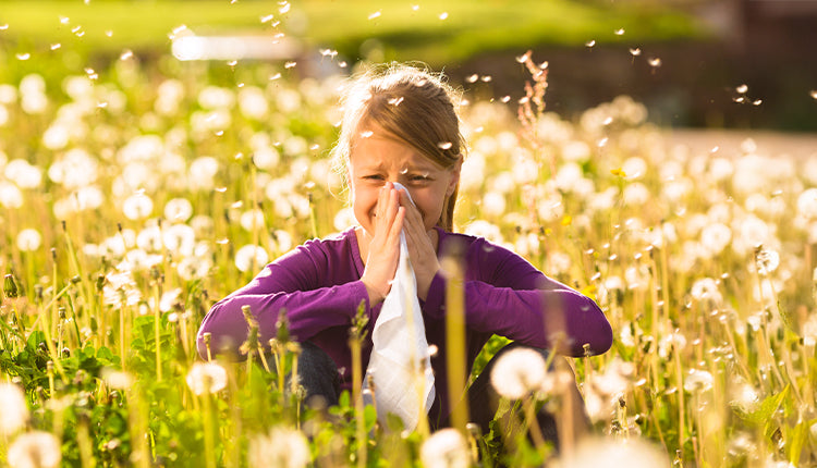 Was ist eine Pollenallergie? Symptome, Ursachen und Alltagstipps